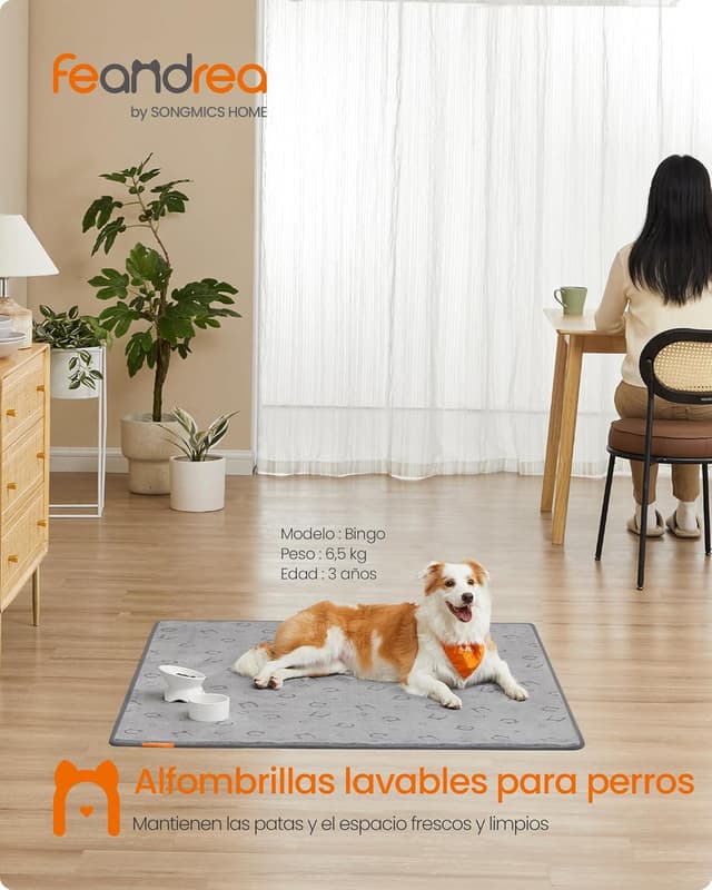 Thumbnail 1 de Feandrea Alfombrilla Absorbente Lavable 152 x 122 cm