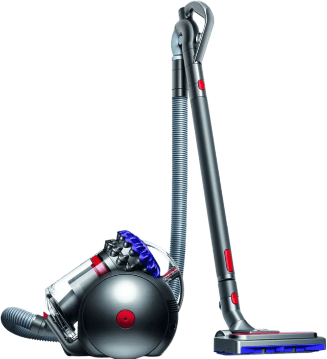 Detalle de Dyson Big Ball Parquet 2 đź§ą