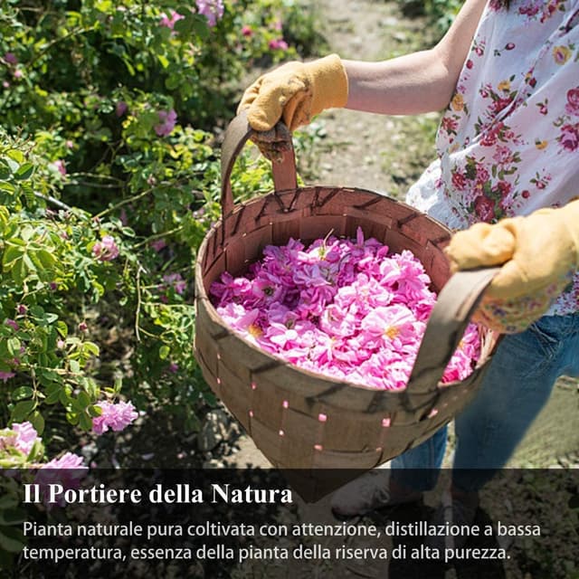 Detalle 2 de ISURI Ätherische Öle Set für Diffuser (6×10 ml) – Lavendel, Minze, Teebaum, Eukalyptus, Zitronengras, Süßorange