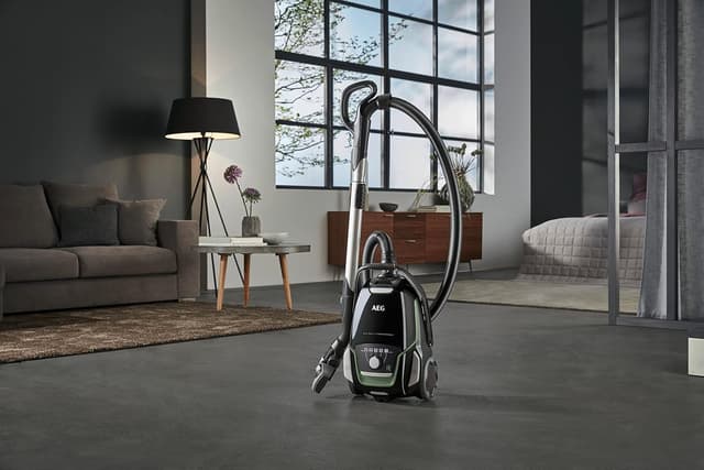 Detalle 1 de AEG VX9-2-ÖKO Staubsauger 700 W 🧹