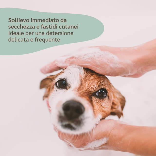 Thumbnail 3 de amusi Shampoo Cani Delicato pH neutro