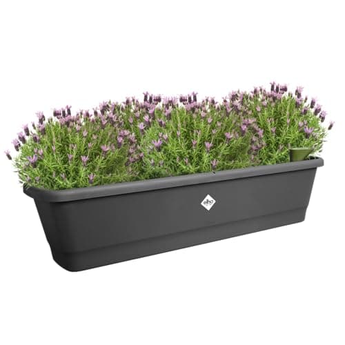 Thumbnail 5 de Elho Noa Balcony Trough XL jardinera 100%