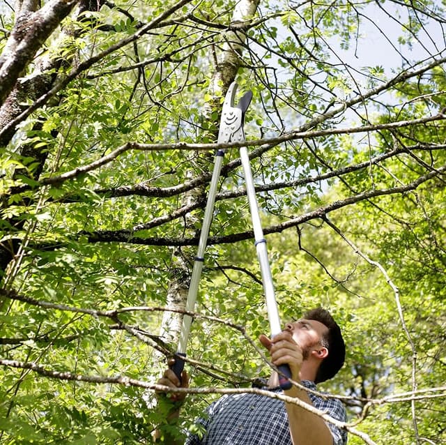Detalle 2 de Spear & Jackson 8290RS Recortadora de ramas telescópica 💇