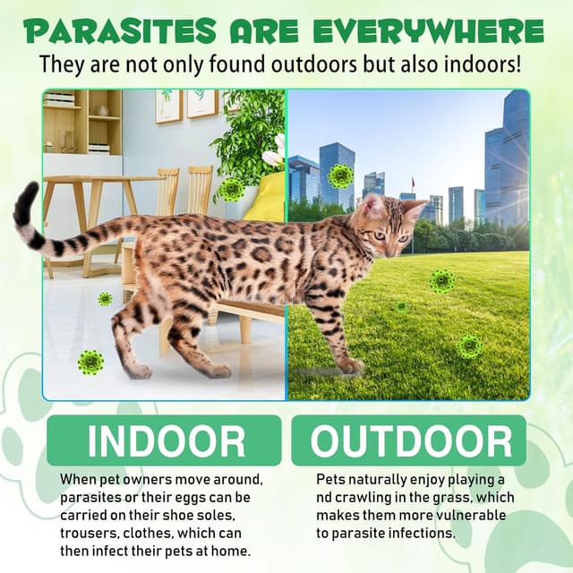 Detalle de HEXIN Wurmkur Katze 60 ml – Kräuterent-Entwurmungsmittel mit Probiotika