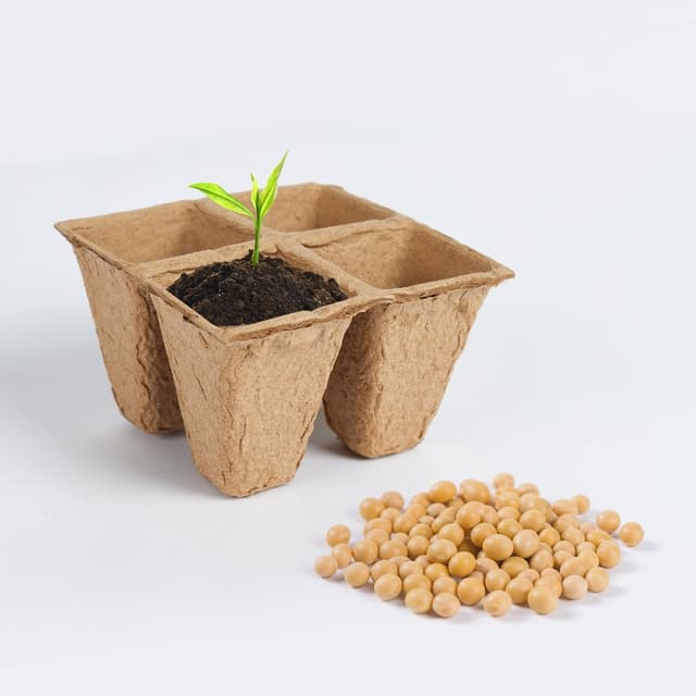 Thumbnail 6 de Chovbe 240 biodegradable plant pots & seed trays kit with labels