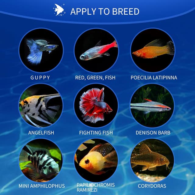 Thumbnail 6 de Nobleza Cibo per pesci piccoli 45 g 🐟