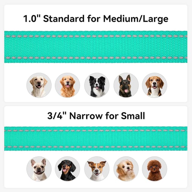 Detalle de Joytale Padded Handle Dog Lead (Double-Sided Reflective Nylon) with 360° Swivel Clasp