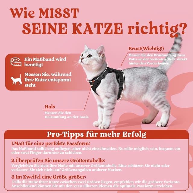 Detalle 2 de rabbitgoo Katzengeschirr S 150 cm Leine đŸ