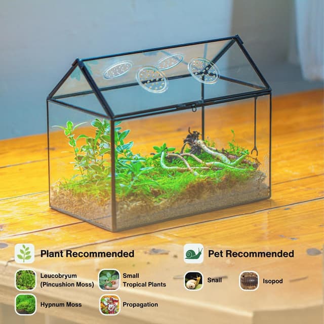 Detalle 2 de NCYP glass terrarium box 26x15x21 cm