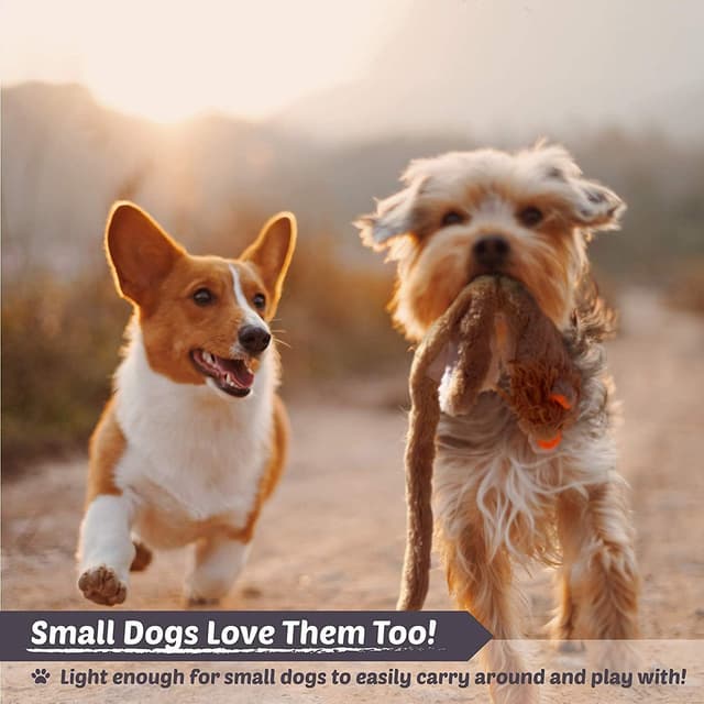 Detalle de Newthinking No Stuffing Dog Toys 5 Pack