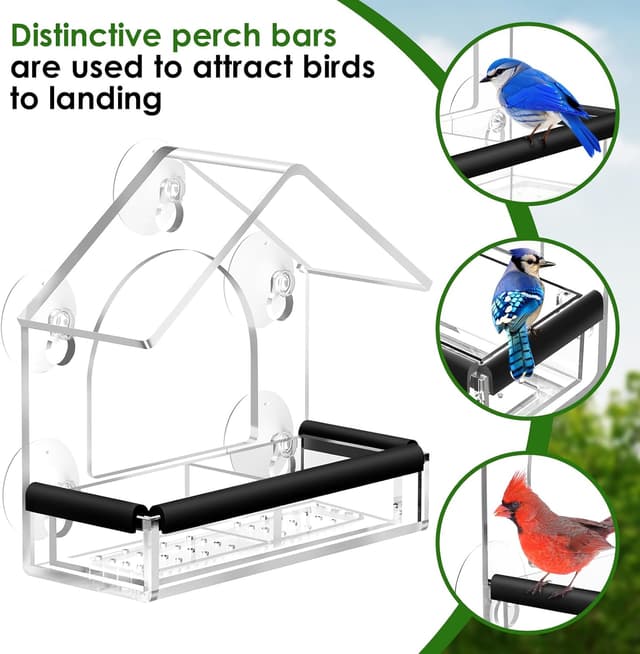 Detalle 2 de LIANGPIN Clear Window Bird Feeder with 5 Strong Suction Cups (Acrylic, removable tray)