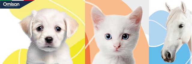 Detalle 1 de Lavaggio oculare PETnorm 3in1 50 ml