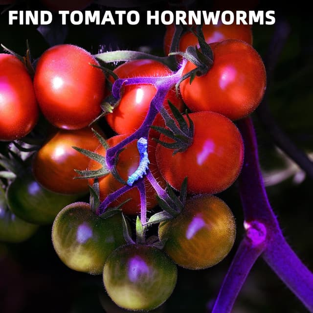 Detalle 2 de DARKBEAM Torcia UV 395nm Ricaricabile 10W