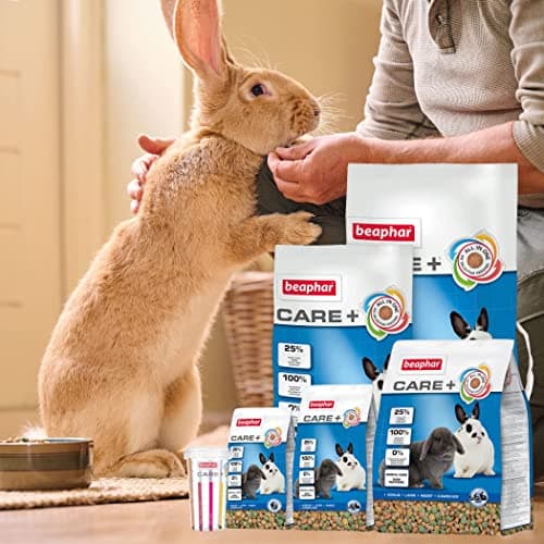 Detalle 2 de BEAPHAR Care+ pienso para conejo 1,5 kg 🐇