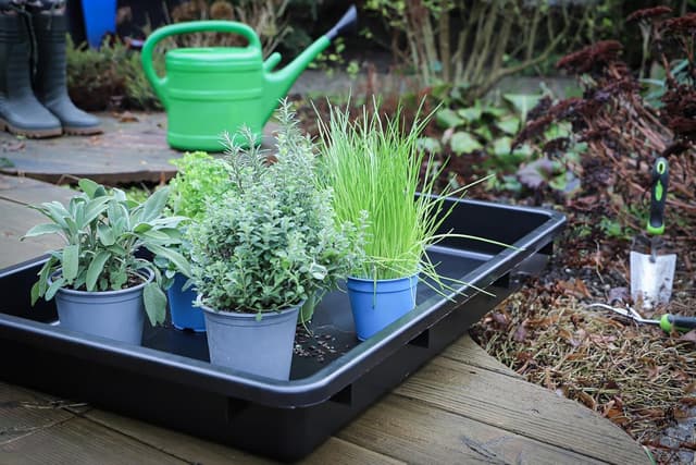 Thumbnail 1 de BGS 9997 bac multifonctions 42 L 🪣