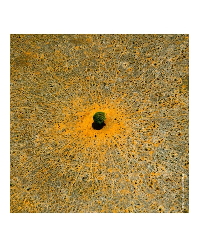 Thumbnail 4 de Guerlain Recarga Eau de Toilette Aqua Allegoria Mandarine Basilic 200 ml