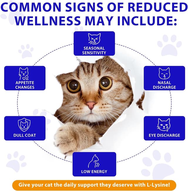 Thumbnail 2 de Goccia Lysin per gatti 60ml supporto immunitario