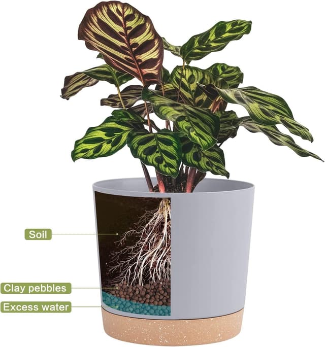 Detalle de QCQHDU 25.4cm Plant Pot (2-pack) with Drainage Holes & Saucer, Light Grey