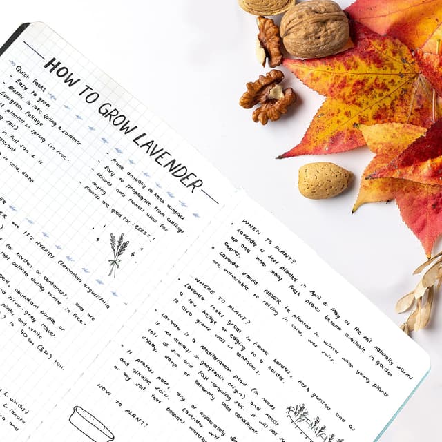 Detalle 2 de STATIONERY ISLAND A5 Squared Notebook (Hardback, 120gsm graph paper) – 180 pages