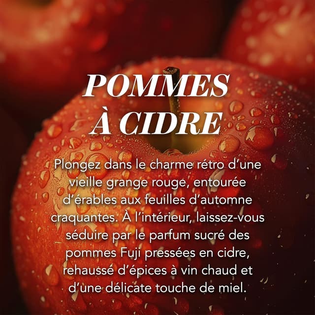 Thumbnail 1 de Bougie Yankee Candle pomme Ă cidre đŻ