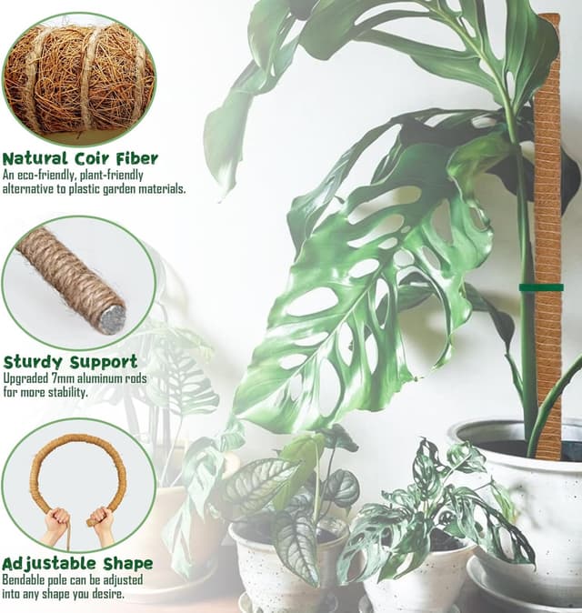 Thumbnail 5 de SZMDLX Moss Pole 160 cm Bendable Coir Plant Support