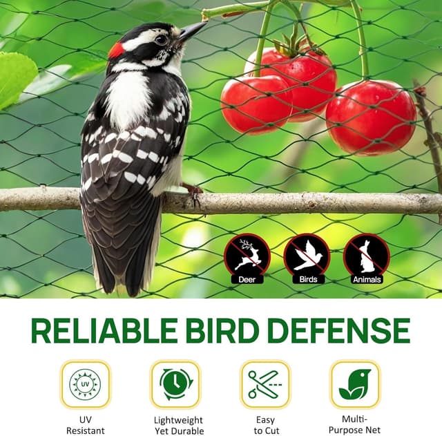 Thumbnail 1 de Green Garden Netting 4m x 12m