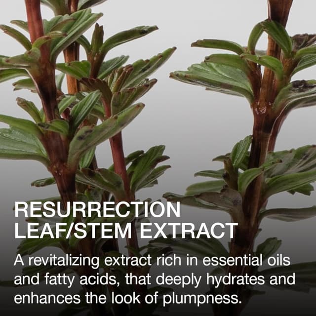 Thumbnail 5 de Ogee Beyond Clean Lip Gloss