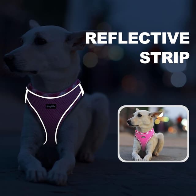 Detalle de haapaw Dog Harness and Lead Set – no-pull adjustable reflective step-in puppy harness (extra-small/small-medium)