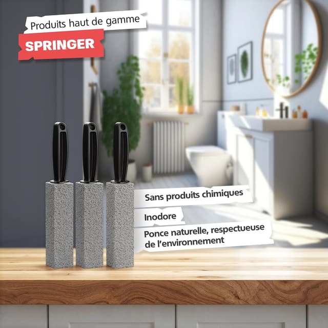 Detalle 2 de SPRINGER ZX6000 – Lot de 3 pierres ponces pour WC, pierre naturelle sans produits chimiques