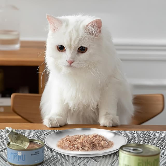 Thumbnail 1 de UOCAI Katzennapf Flach Edelstahl 14 cm