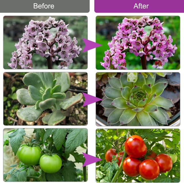 Thumbnail 5 de Railee Pflanzenlampe LED Vollspektrum 3 Köpfe