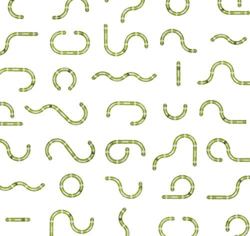 Thumbnail 5 de Catit Senses 2.0 Super Circuito para Felinos 🐾