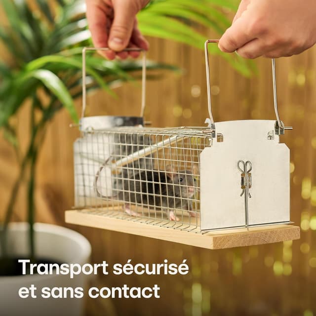 Detalle de Praknu Cage piège à rat vivant 30 cm