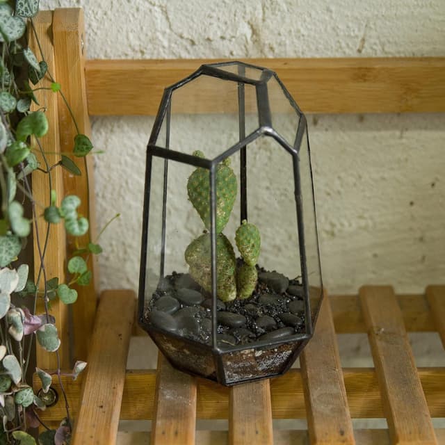 Detalle de NCYP Geometric Opened Glass Terrarium for Succulents 10.5x9x15 cm
