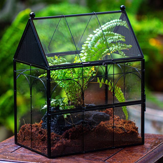 Thumbnail 6 de NCYP Glass House Terrarium 19×12.5×23 cm
