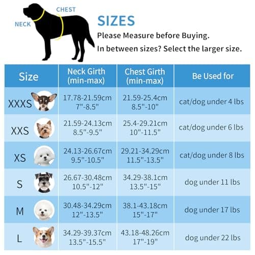 Thumbnail 8 de AIITLE Harnais et laisse pour chien, anti-traction, jaune XS ⚙