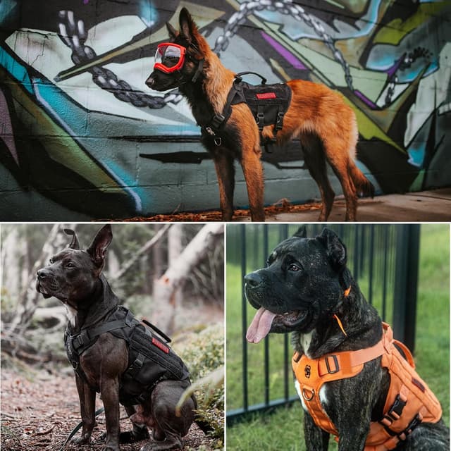 Detalle 2 de No Pull Tactical Dog Harness for Large Dog (OneTigris) in breathable mesh with handle & MOLLE pouches, XL, Black