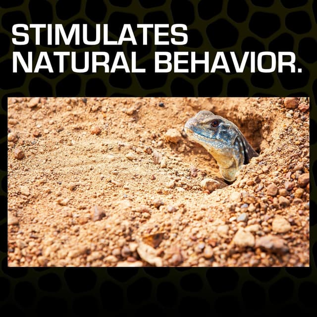 Thumbnail 2 de Exo Terra Desert Sand 4.5 Kg reptile substrate 🐍