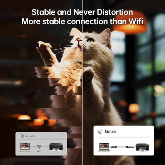 Detalle 2 de BENFEI Cavo USB B a USB C 2 m