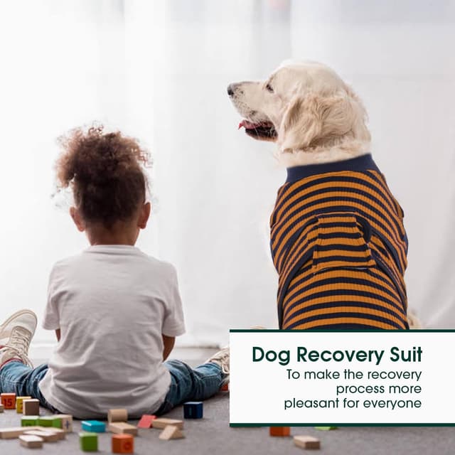 Detalle 1 de Kuoser Hundebody nach OP für Rüde & Hündin – atmungsaktiv, mit Leckschutz, Braun (Größe XL)