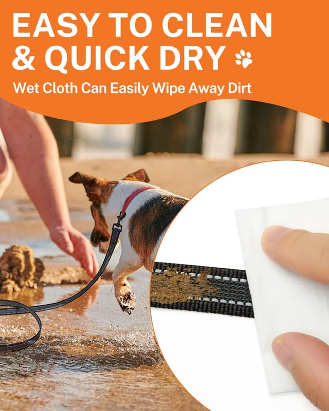 Detalle 2 de Toozey dog training lead 5m x 2.0cm