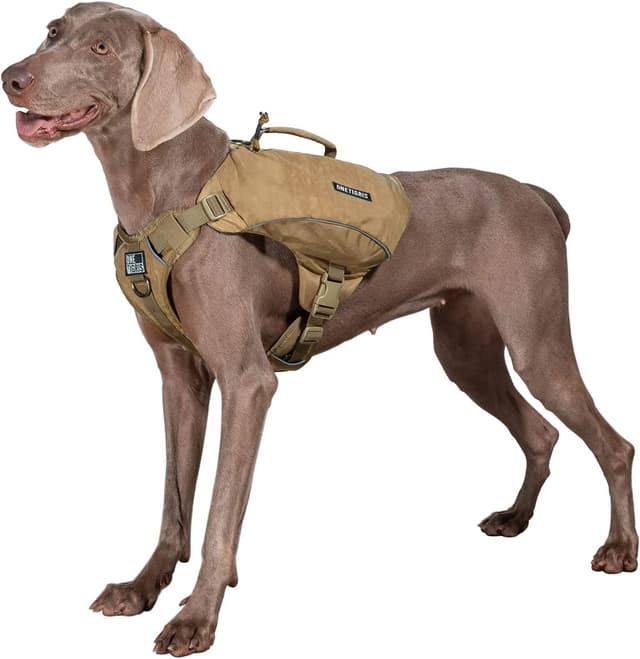 Thumbnail 6 de OneTigris CAMELUS Hunderucksack für M/L Hunde (Ranger Grün) – 420D-Nylon mit YKK-Reißverschlüssen