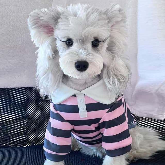 Thumbnail 2 de AgoumLux Hundeshirt Rosa XL