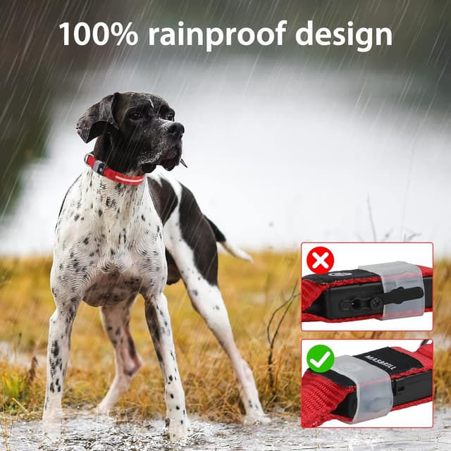 Detalle 2 de MASBRILL Light Up Dog Collar (Rechargeable LED, Waterproof) – Red, Adjustable for Small to Large Dogs (S)