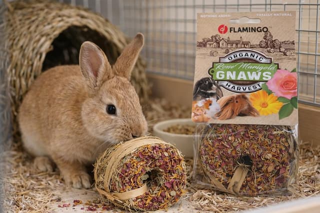 Detalle 2 de Flamingo Ciambella di Fieno 65 gr con fiori di tarassaco e petali di rosa (100% naturale, senza zuccheri)