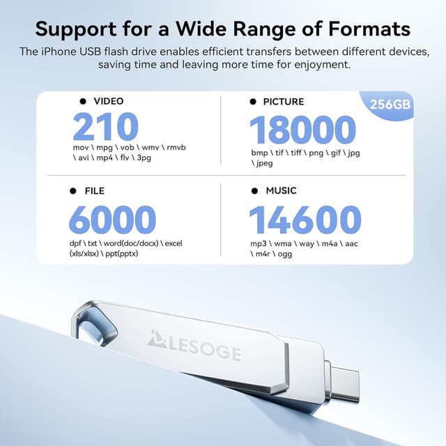 Detalle de LESOGE MFi Certified 256GB USB-C & Lightning Memory Stick (Dual Interface) with USB 3.0 Adapter