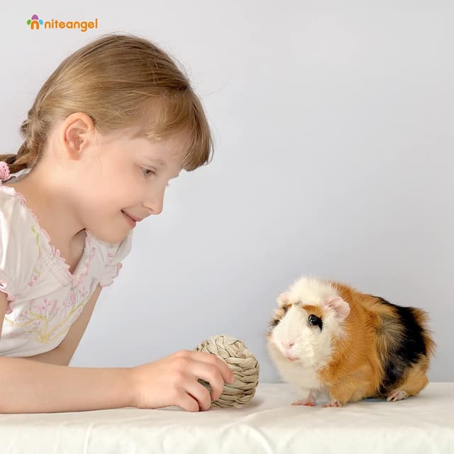 Thumbnail 6 de Niteangel Natural Chew Activity Toys – 8 Seagrass/Willow Hay Grass Balls for Rabbits, Guinea Pigs, Chinchillas & Small Rodents