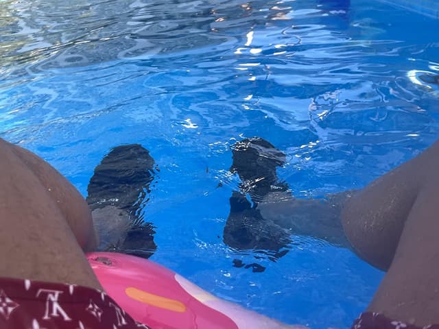 Thumbnail 1 de DOUSSPRT Men's Water Shoes 🏊