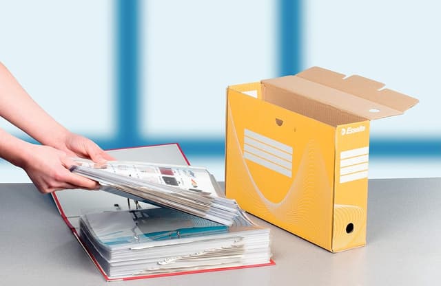 Detalle 2 de Esselte Boîte à Archive Standard 80 mm