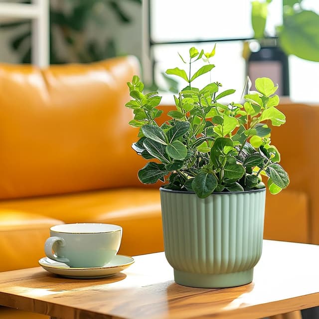 Thumbnail 6 de T4U 15cm Self Watering Plant Pots 6 Pack